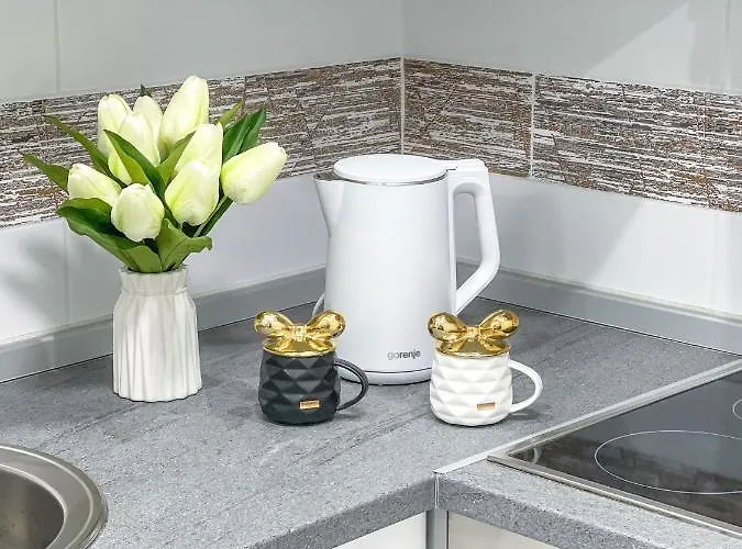 Apartment Nina Ii Sremska Mitrovica